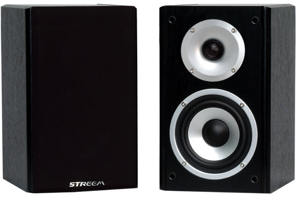Streem SR-290 surround sound/bookshelf speakers with one grill